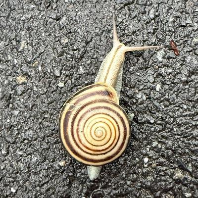 器をつくる