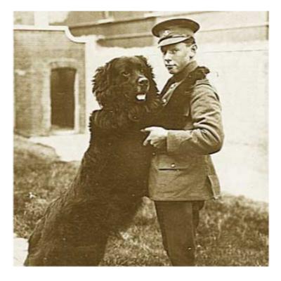 10 - Beaumont-Hamel: Courage, Loss & the Newfoundland Regiment 10 - Beaumont-Hamel: Courage, Loss & the Newfoundland Regiment
