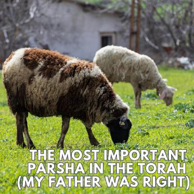 THE MOST IMPORTANT PARSHA IN THE TORAH (MY FATHER WAS RIGHT) THE MOST IMPORTANT PARSHA IN THE TORAH (MY FATHER WAS RIGHT)