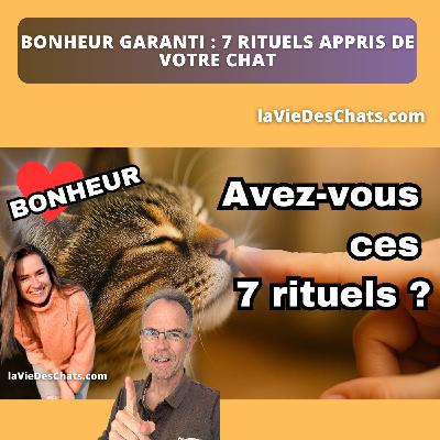 BONHEUR GARANTI : 7 RITUELS APPRIS DE VOTRE CHAT