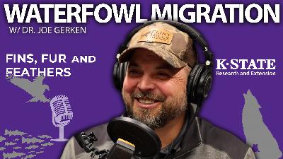 Waterfowl Migration Waterfowl Migration