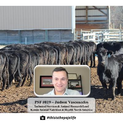 PSF #019 - Judson Vasconcelos