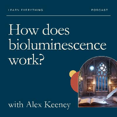 How does bioluminescence work?