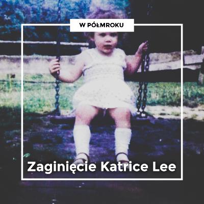 „To nie było daleko. Zajęło mi to około 40 sekund, najwyżej minutę" | Zaginięcie KATRICE LEE „To nie było daleko. Zajęło mi to około 40 sekund, najwyżej minutę" | Zaginięcie KATRICE LEE