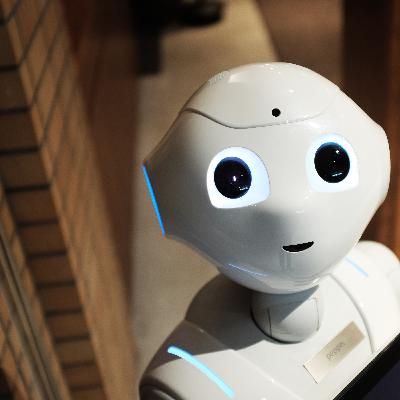 This thing we’re building