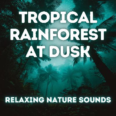 9 Hour Nature Sounds - Tropical Rainforest at Dusk — Immersive Jungle Sleep Sounds 9 Hour Nature Sounds - Tropical Rainforest at Dusk — Immersive Jungle Sleep Sounds