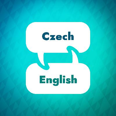 Introduction to Czech Learning Accelerator