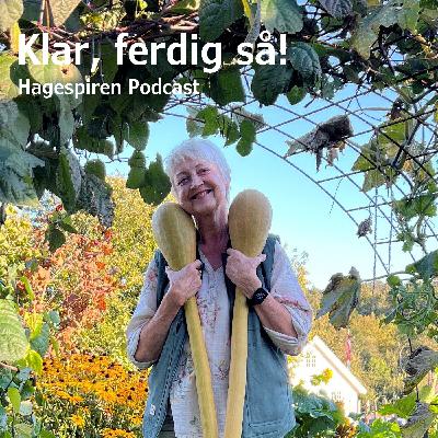 8/26: Klar, ferdig så! Med Anne Endresen fra Annemors hage