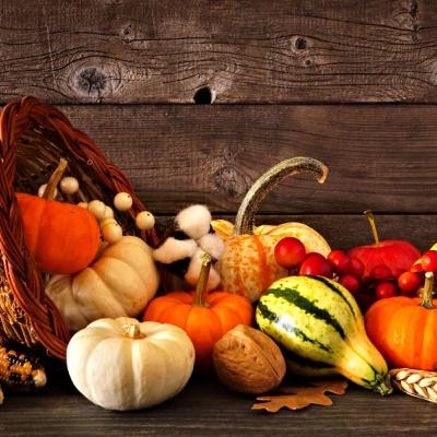 Thanksgiving Thoughts