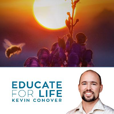 208 Why plants did NOT evolve — with Dr. Alan Walker 208 Why plants did NOT evolve — with Dr. Alan Walker