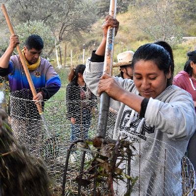 Programa 199. Agroecologías que cruzan fronteras