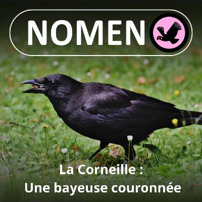 BEST OF D'ÉTÉ #14 : La Corneille craille, le Corbeau croasse, la caravane Nomen passe…