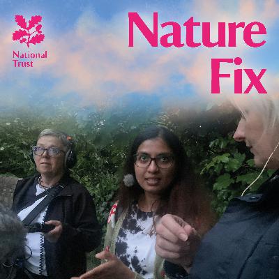 City Cemetery Bat Walk