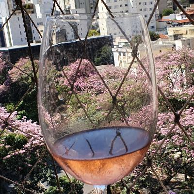 Cap. 5 - Vinhos x Azeites, manteigas, gorduras e vinagres!