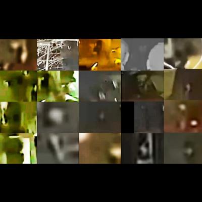 More Than 20 NHI Beings are in the Las Vegas Alien Video. See for Yourself