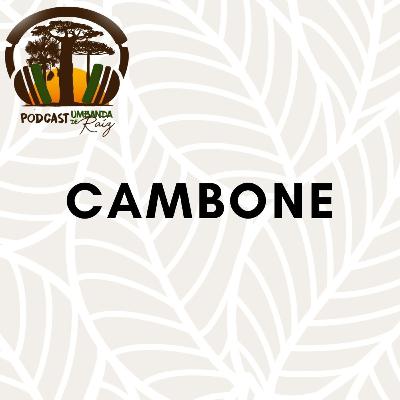7. Cambone 7. Cambone