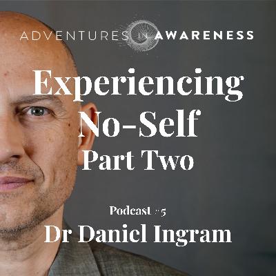 Daniel Ingram - Experiencing No Self: Part Two