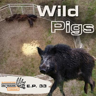 The Wild Pig Problem in the South: Evolution, Impact, and Control
