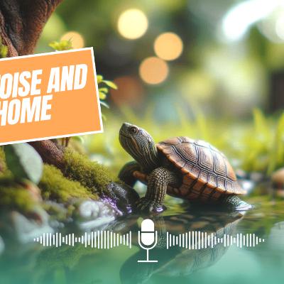 The Tortoise and it's Home | S.2 EP: 1 | Tamil bedtime stories | Stories for Kids | Tamil Stories | Kids Podcast