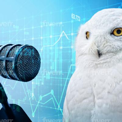 WISE Financial Strategies - Episode 1