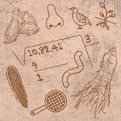 Qué rima con raíz Qué rima con raíz