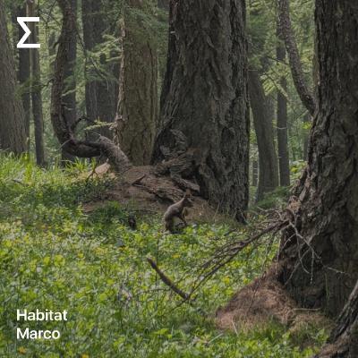 Habitat – Marco