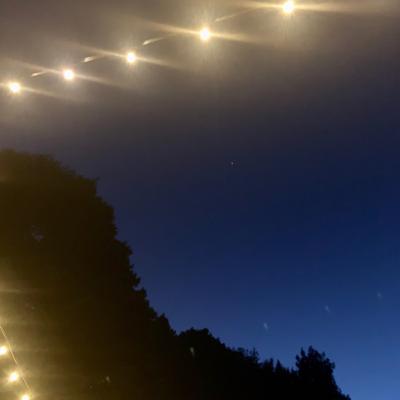 Brain 🧠 to Body 👁🗣