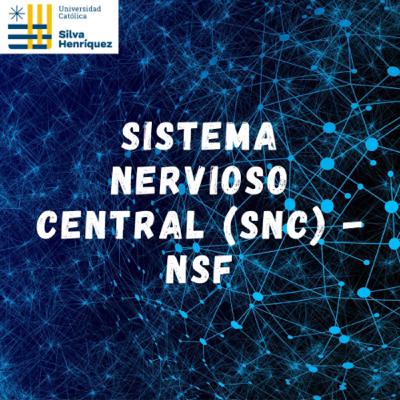 Sistema Nervioso Central (SNC) - NSF