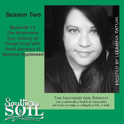 The Mushroom Guy: Talking all Things Fungi with Ancil Jacques of Swampy Appleseed