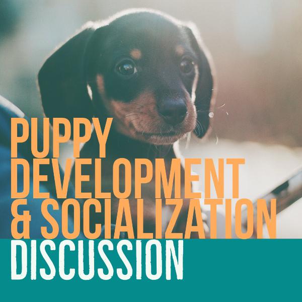 Puppy Development & Socialization Puppy Development & Socialization