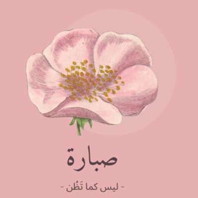 التعريف بصبارة