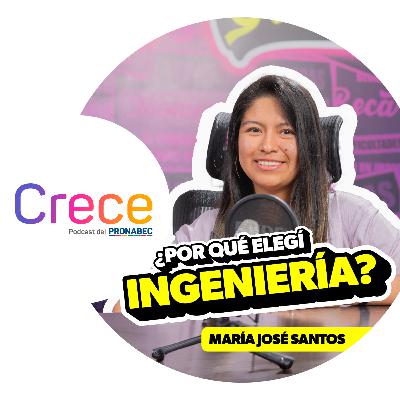 "Cómo logré saber qué ingeniería era para mí"