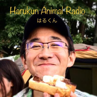Se2/Ep1/雹だ!天気がワンちゃんにも影響しています。 Se2/Ep1/雹だ!天気がワンちゃんにも影響しています。