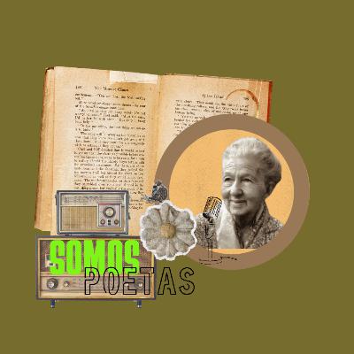 #0033 OFICIO DE VIVER- AFONSO FELIX DE SOUSA/POESIA QUE INSPIRA