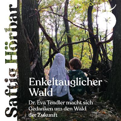 Enkeltauglicher Wald: Dr. Eva Tendler macht sich Gedanken um den Wald der Zukunft