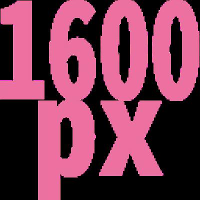 1600 x 1600