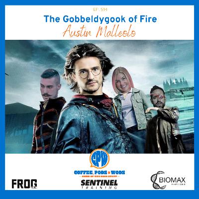 What is Project Mayhem? - Austin Malloelo What is Project Mayhem? - Austin Malloelo