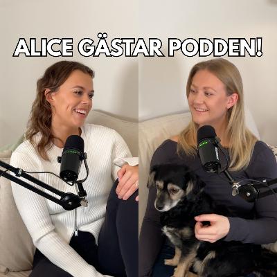 591. Alice gästar - hur vet man att man är redo för barn?