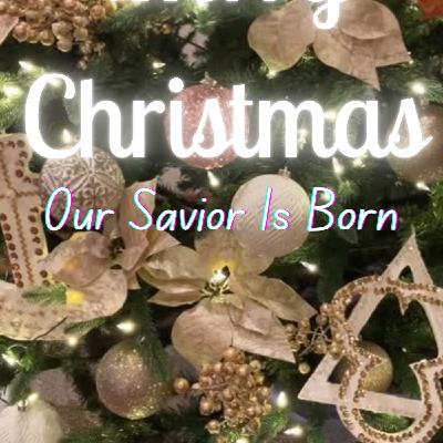 Merry Christmas