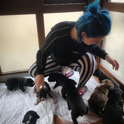 Sevgili Günlük 3.Bölüm Sevgili Günlük 3.Bölüm