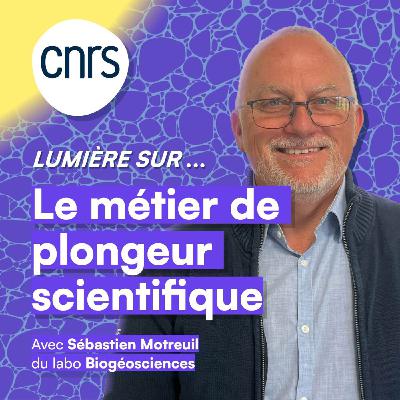 Lumière sur... Le métier de plongeur scientifique
