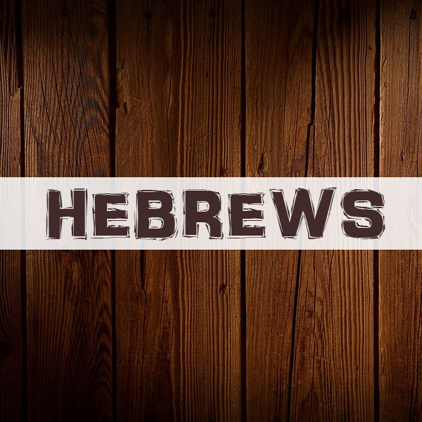Jesus Our High Priest | Hebrews 4:14 - 5:10