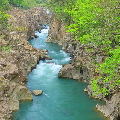 Tranquilo arroyo de montaña (8 horas) | Ruido blanco para dormir, meditar o calmar a un bebé