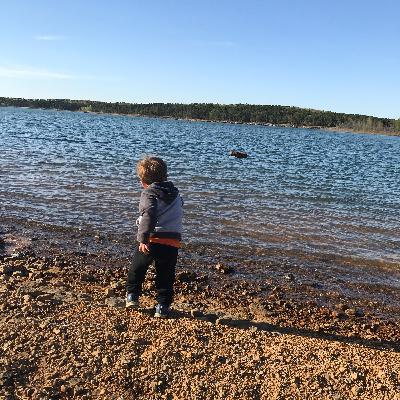 Sustainability & World Hunger