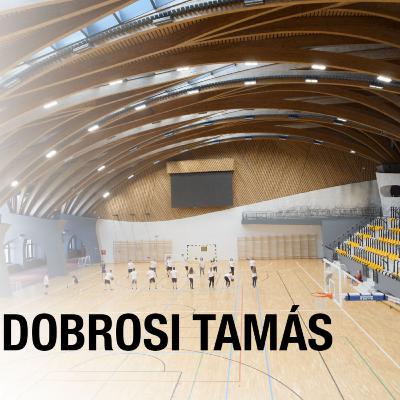Dobrosi Tamás