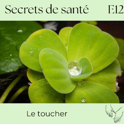L’art du toucher : un sens vital pour nourrir le corps, le cœur et le lien - S7E12