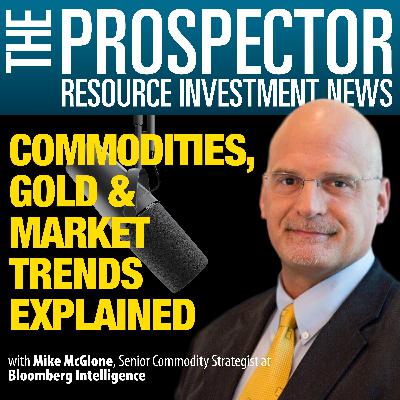 Mike McGlone: Commodities, Gold & Market Trends Explained