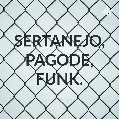 SERTANEJO, PAGODE,FUNK.