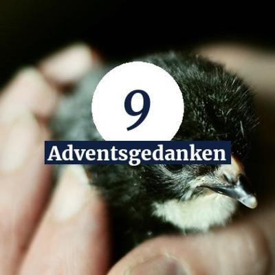Tag 9 - Fürsorge