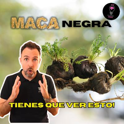 1x36 La MACA NEGRA cambiara tu vida para siempre!